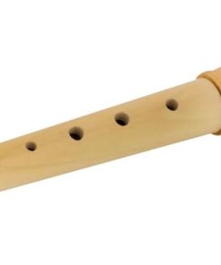 Recorder - childrens musical instrument